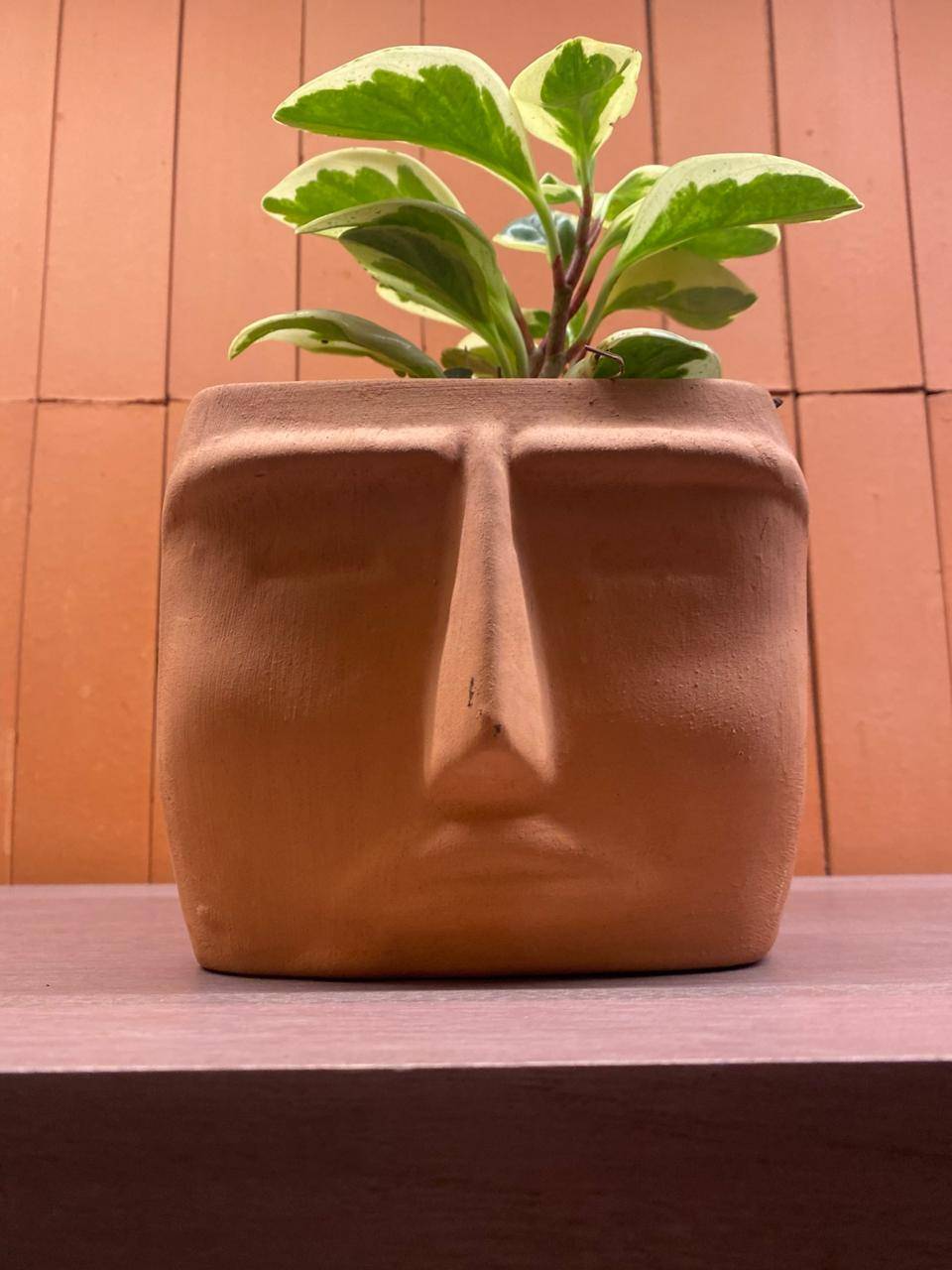 Detalle de decoración con maceta de barro